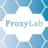 Proxy-Lab