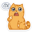 cat47 {cat47} {cat47}